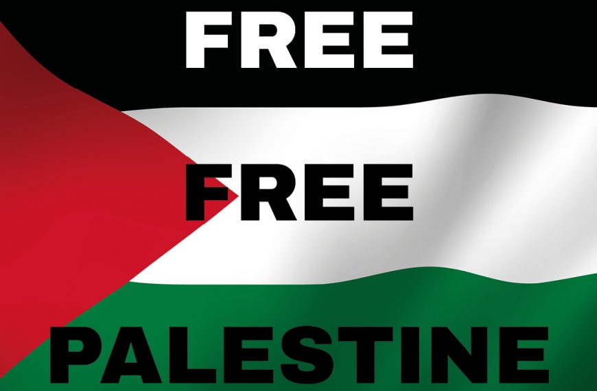 Labour Affairs: Israel is a colonising democracy
